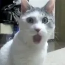 ong