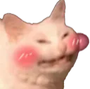 c_blush