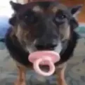Capturadepantalla20221125114801