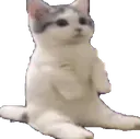 Fay_CatSit Fay_CatSit