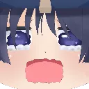 WandererCry