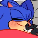 07a_sonicsleep