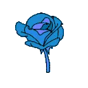 sup_BlueRose