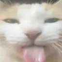 catbleh