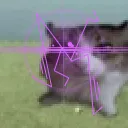 THISCATdoestheULTMOVE