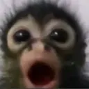 OMAHGAWD
