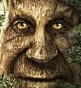 wise_mystical_tree wise_mystical_tree