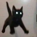 868273c5322971be01ae8b202e3670dc