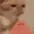 Melon