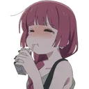 KikuriSip