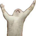 OOoOOOooO