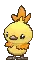ShinyTorchic