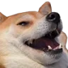 fatkek