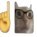 catNerd