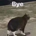 catgoodbye