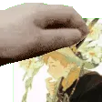Pat_Anarchy