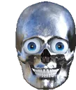 silver_skull