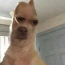 hurb