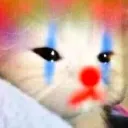 Clowncat clowncat Discord Emoji