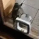 cat_flap_smack
