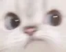 stare