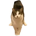 7253cattrianglestance Discord Emoji