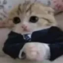 baseg