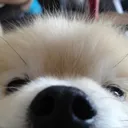 heyy