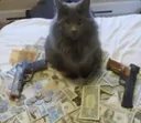 thesestreetsaintforyoucuh