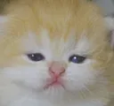 puddingExhausted puddingExhausted