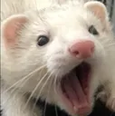 epiku epiku