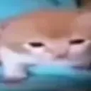 robert