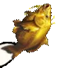 Shake_Carp