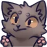 Cat_shrug