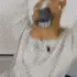 ya3rachadance3 ya3rachadance3