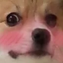 PABLO_scareddoge