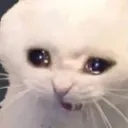 catcry