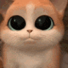 xx_gifcatawe Discord emoji