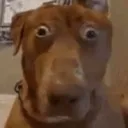 RUHROH