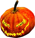 Cucurbito Cucurbito