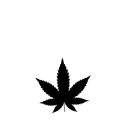 weedlover
