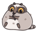 racoonBlush_SF Discord emoji