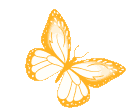 Orange Butterfly OrangeButterfly Discord Emoji