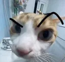 huh3