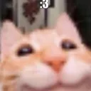 happykittycat