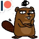 beavs
