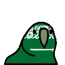 4620_saudiarabiaparrot