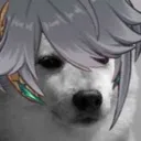 HaiDogBro HaiDogBro