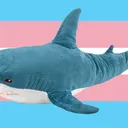 TransShonk
