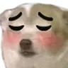 doguwu Discord Emoji